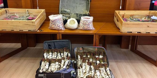 Zehir tacirlerine geçit yok!