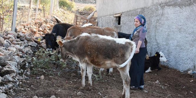Devletin desteklediği genç çifti, hayata yeniden tutundu