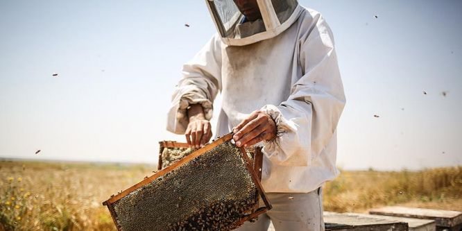 Balda kimlik ihracatı ikiye katlayacak