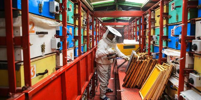 TIR'da doğal bal üretiyor