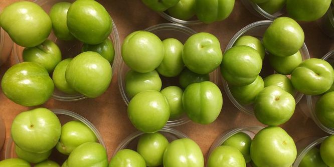 Eriğin kilogramı 10 liraya düştü