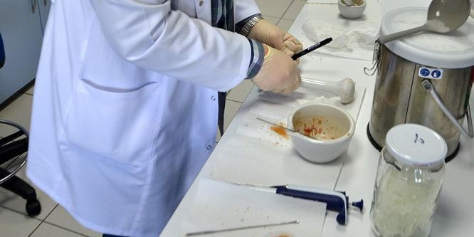 TSE'nin gıda analizleri tüm hızıyla devam ediyor