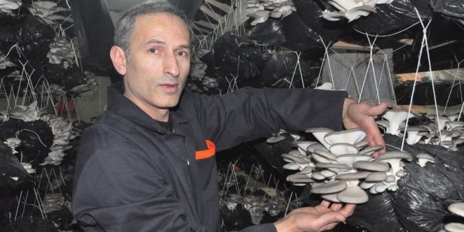 Son umut olarak başladılar, siparişlere yetişemiyorlar