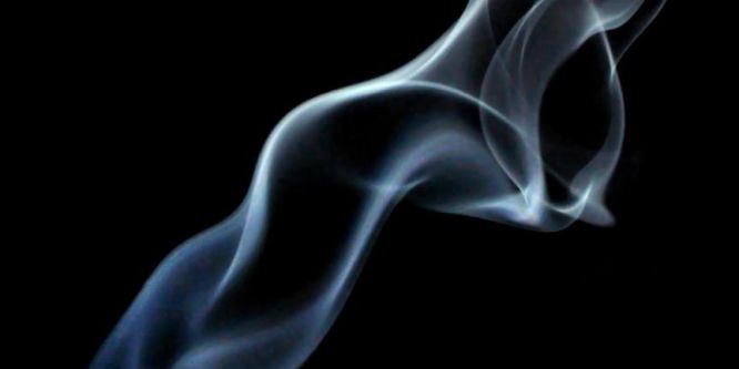 Bakan Akdağ: Asla müsade etmeyeceğiz