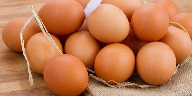 Yumurta ihracatı %59 arttı