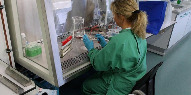 Bir genin daha obezite bağlantısı keşfedildi