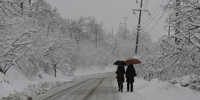 Ordu ve Giresun'da engelli ve hamile kamu personeline kar tatili