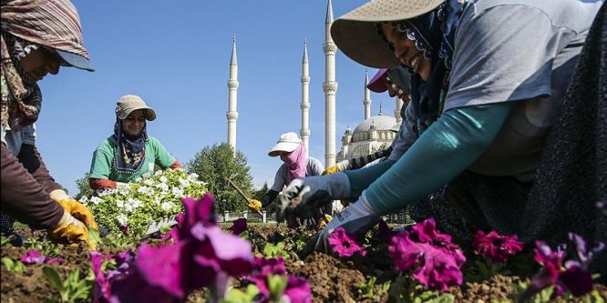 Hem kenti güzelleştiriyor hem ev geçindiriyorlar