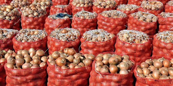 Tarlada 35 kuruş, markette 2 lira