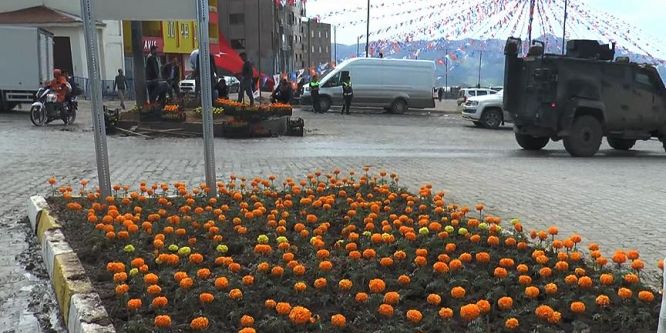 Şırnak çiçek bahçesine dönüşüyor