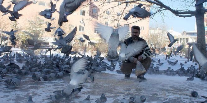 Güvercinlere çocukları gibi bakıyorlar
