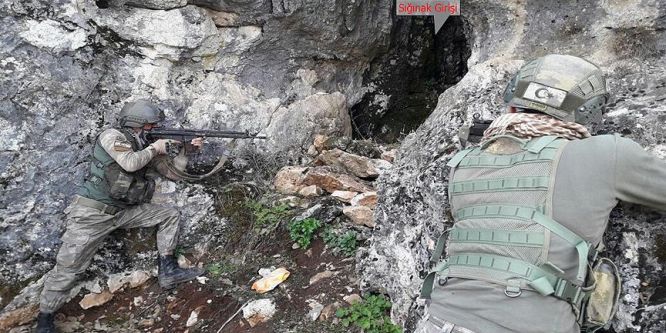 Lice'deki terör operasyonu tamamlandı