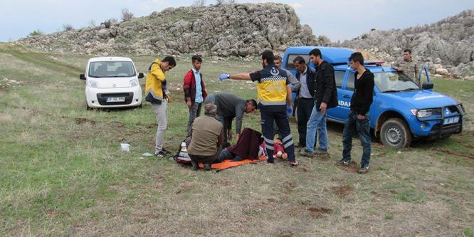 Gençlerin pikniği kabusa dönüştü