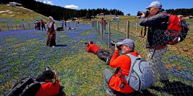 Karadeniz'in baharı fotoğrafçıları büyülüyor