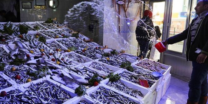 Hamsi diğer balık fiyatlarınıda vuruyor