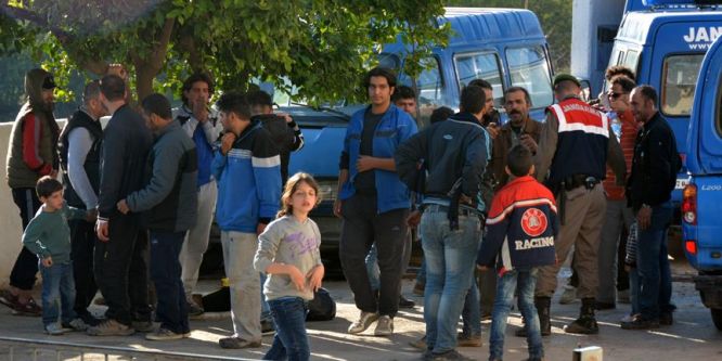 Milas’ta 36 sığınmacı yakalandı