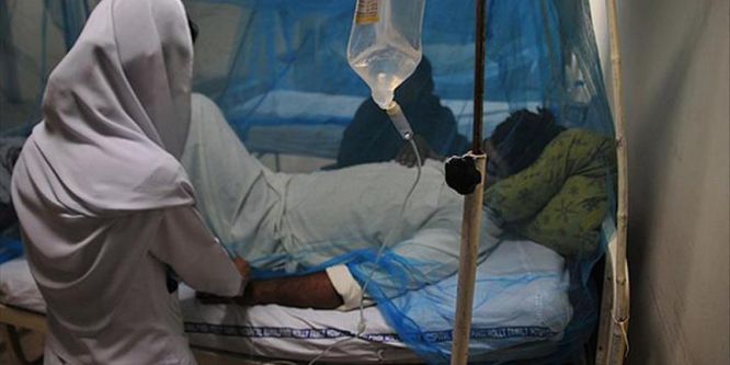 Sıtma dünya genelinde 429 bin can aldı