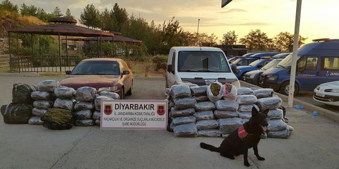 Diyarbakır'da geçen yıl 1 milyon kişinin GBT sorgusu yapıldı