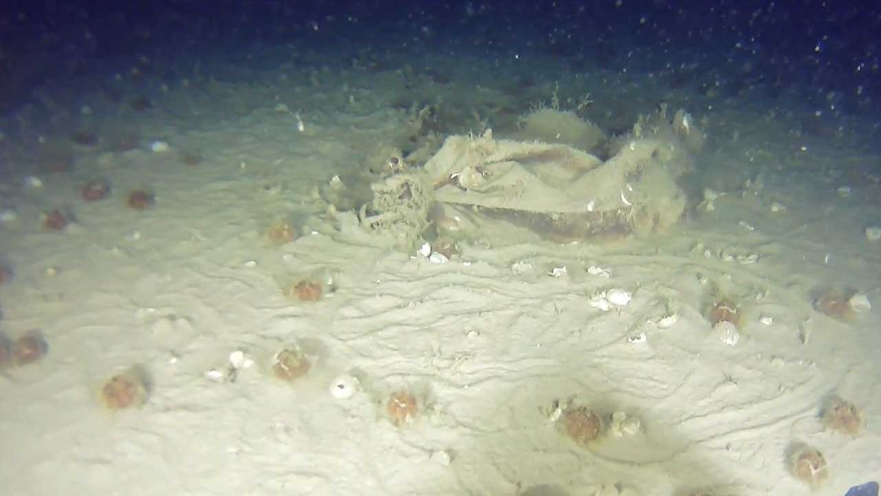 THY'nin uçağı hakkında yeni gelişme! 51 yıl sonra ortaya çıktı