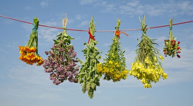 Tıbbi bitkilerde doz aşımına uyarı