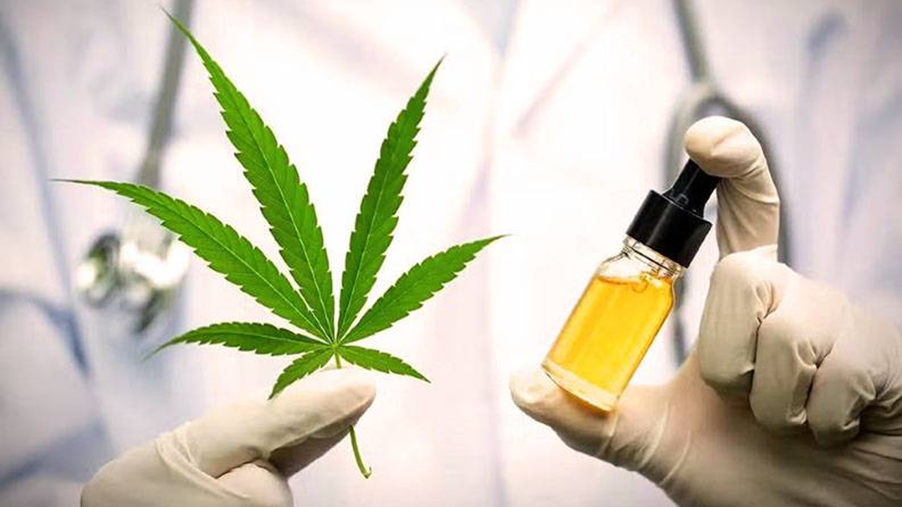 Tıbbî kenevir teklifi yasalaştı!