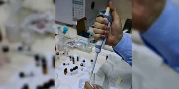 Tıbbi ve aromatik bitkilerin yağı ve esansını çıkarıyorlar