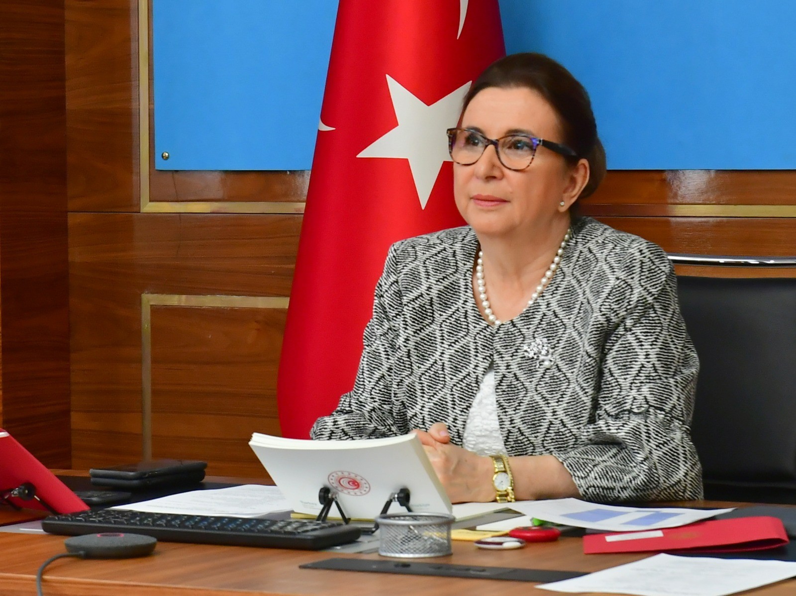 Ticaret Bakanı Pekcan Rusya Federasyonu Enerji Bakanı Novak ile görüştü