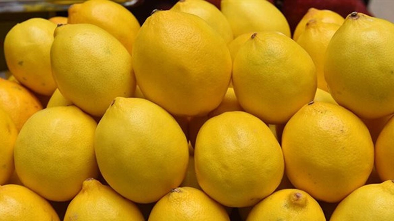 Ticaret Bakanlığı açıkladı! Limon ihracatı durduruldu
