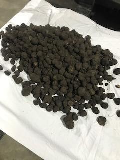 Ticaret Bakanlığından “trüf mantarı” ihalesi 