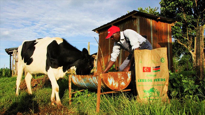 TİKA binlerce Kenyalı çiftçinin hayatını değiştirdi