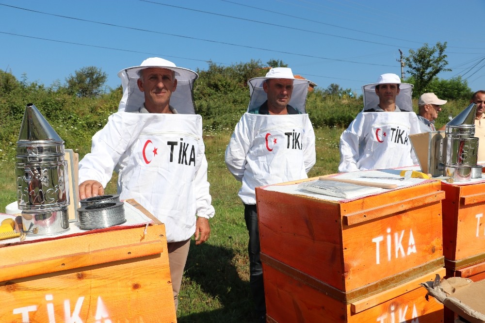 TİKA’dan Arnavutluk’a arıcılık alanında destek 
