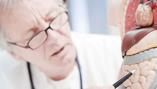 Tıkanmış bağırsakların doğal ilacı! Günde 4 tanesi kabızlığı bitiriyor...