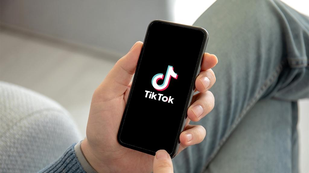 TikTok zehirlemeye devam ediyor! Etkileşim için kediye işkence ettiler, sınır dışı edilecek