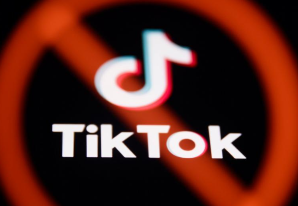 TikTok'a 1 yıl erişim engeli! İnternetin çamur çukuru