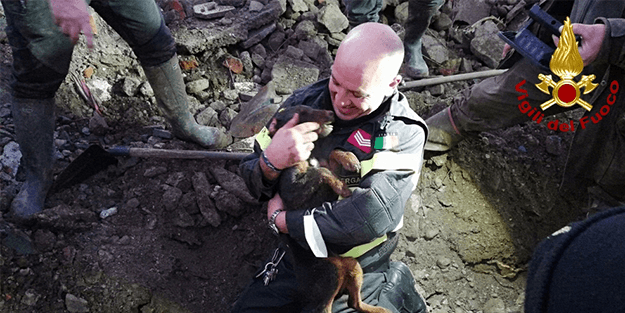 Tilkilerin peşinden koşarken ölümden döndüler