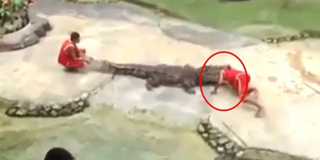 Timsah görevlisinin kafasını böyle kaptı - VİDEO