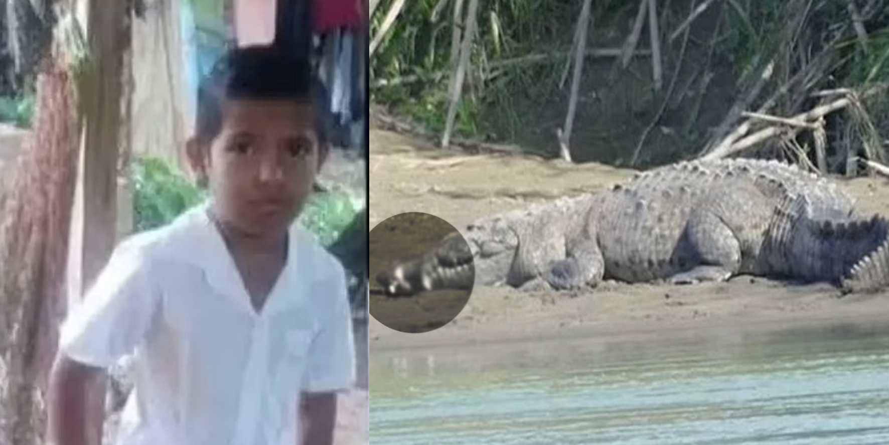 Timsah, yakaladığı çocuğu annesinin gözü önünde yuttu