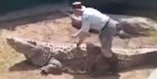 Timsaha at gibi binersen sonu kötü biter