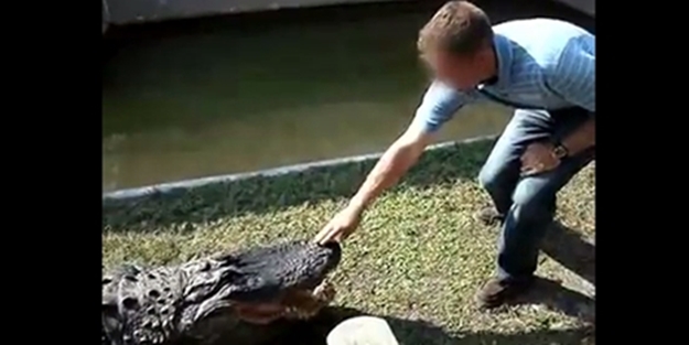 Timsahla şaka olmaz! - VIDEO