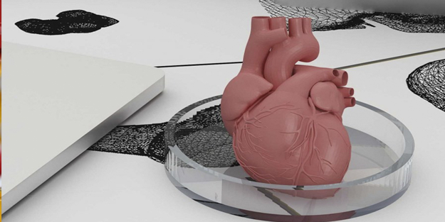 Tıpta yeni dönüm noktası: Türkiye’den yapay organ müjdesi!