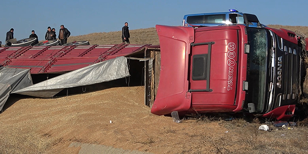 Tır devrildi, tonlarca buğday etrafa saçıldı: 1 yaralı