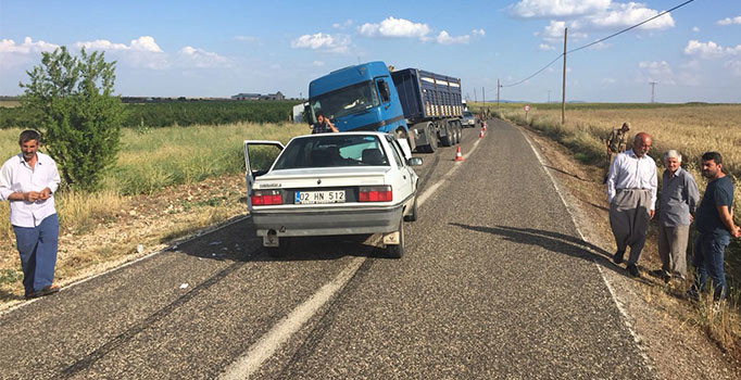 TIR ile otomobil kafa kafaya çarpıştı: 1 kişi yaralı