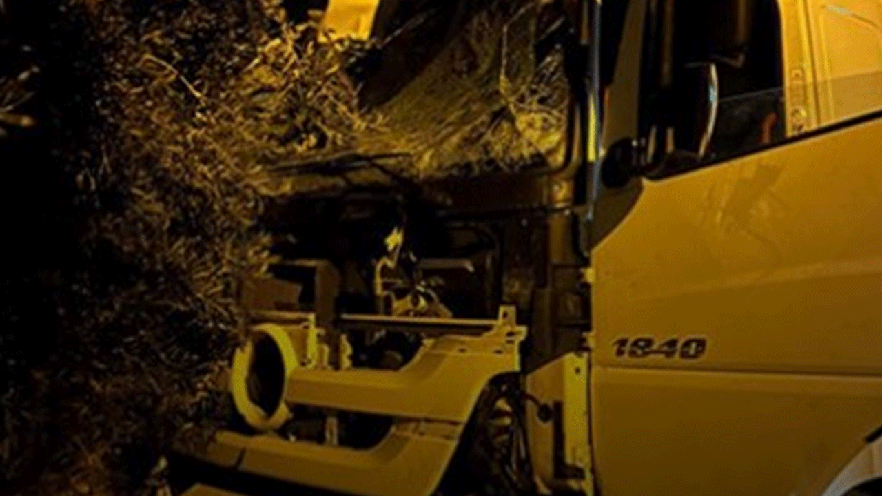 Tır sürücüsü uyudu, ortalık savaş alanına döndü!