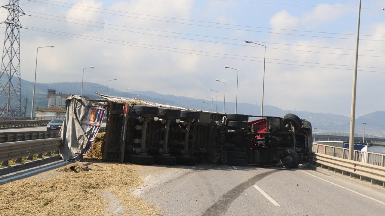 Tır sürücüsünü arı sokunca olanlar oldu