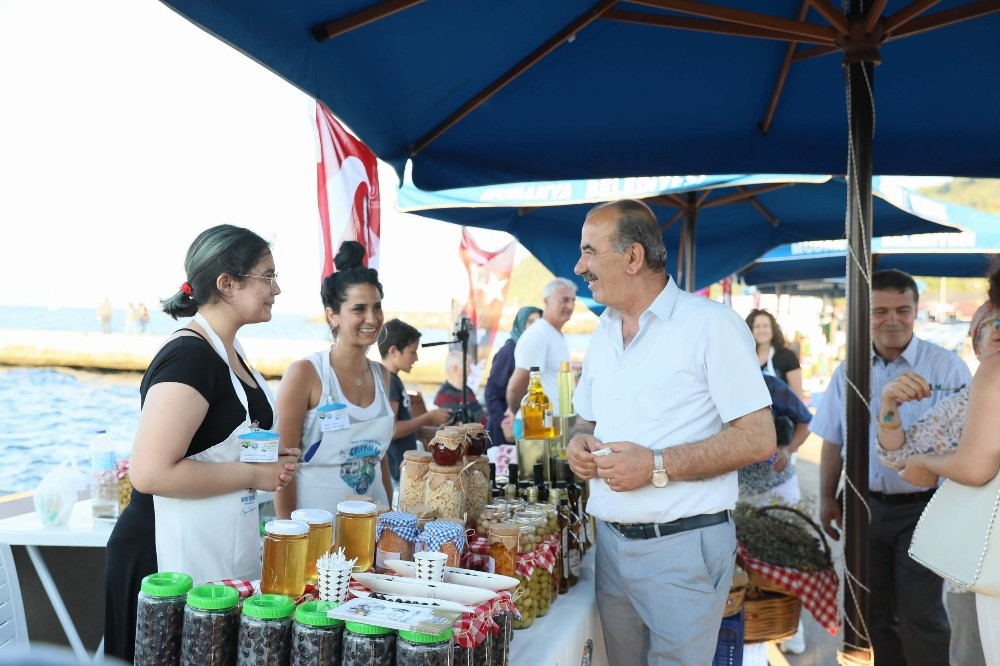 Tirilye Zeytin Şenliği başlıyor 