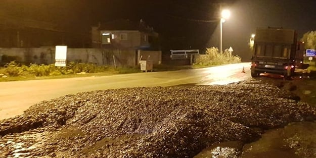 TIR'ın dorsesinin kapağı açıldı! Tonlarcası yola döküldü