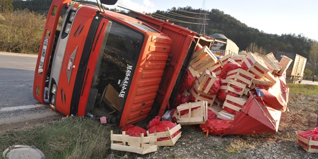 Tırla çarpışan kamyon devrildi, havuçlar yola saçıldı
