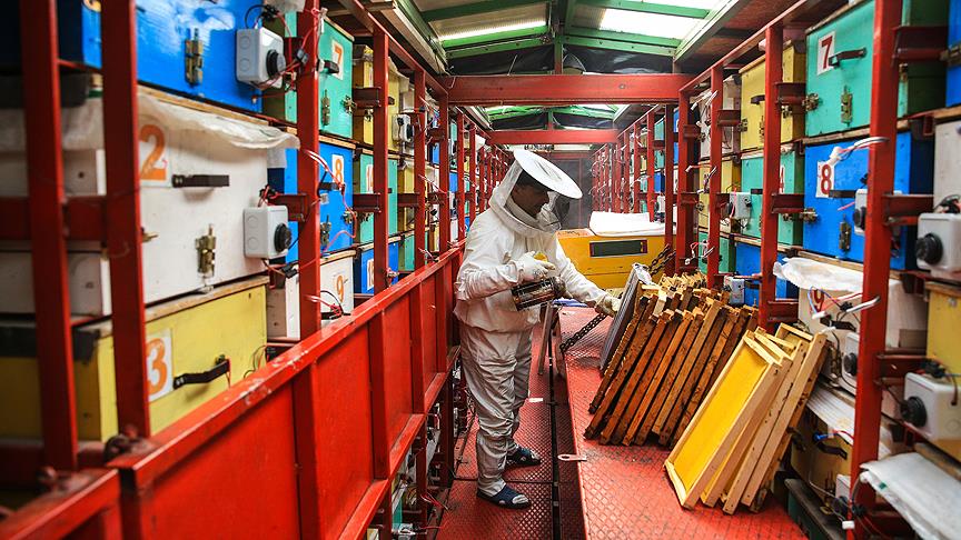 Tır'la diyar diyar gezip doğal bal üretiyor