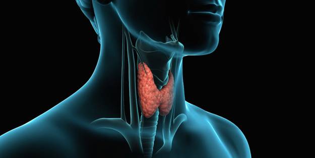 Tiroid rahatsızlığının 6 belirtisi! Biri bile varsa uzmana başvurun