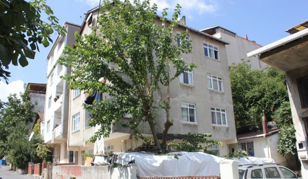 Tırtıllar yüzünden az kala canından oluyordu